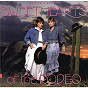 Album One Time, One Night de Sweethearts of the Rodeo