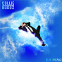 Album Blue Dreamz de Collie Buddz
