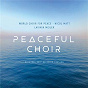 Album Peaceful Choir - New Sound of Choral Music (360° / 8D Binaural Version) de World Choir for Peace / Lavinia Meijer & World Choir for Peace / John Rutter / Johannes Brahms / Eric Whitacre...