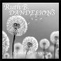 Album Dandelions (slowed + reverb) de Ruth B