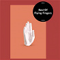 Album Best of Flying Fingers de Flying Fingers