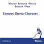 Compilation Famous Opera Choruses avec Gerhard Pflüger / Richard Wagner / Ludwig van Beethoven / Otto Nicolai / Gaetano Donizetti...