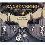 Album The Beber Project, Vol.1 de Sanseverino
