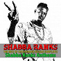 Album The Best of Shashamane Reggae Dubplates (Shabba Ranks Anthems) de Shabba Ranks