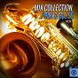 Compilation Mix Collection, Folk & Blues, Vol. 4 avec Willie Dixon / Mississippi Fred MC Dowell / Memphis Slim / Sonny Boy Williamson / J.B. Lenoir...