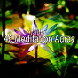 Album 46 Meditation Auras de Meditation