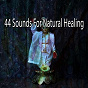 Album 44 Sounds For Natural Healing de Forest Sounds