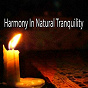 Album Harmony In Natural Tranquility de Forest Sounds