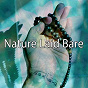 Album Nature Laid Bare de Forest Sounds