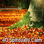 Album 40 Spiritually Calm de Focus Study Music Academy