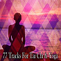 Album 77 Tracks for Tai Chi & Yoga de Forest Sounds