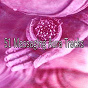Album 51 Massaging Aura Tracks de Guided Meditation