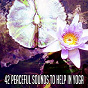 Album 42 Peaceful Sounds to Help in Yoga de Exam Study Classical Music Orchestra