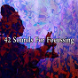 Album 42 Sounds for Focussing de Ambiente