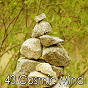 Album 43 Cosmic Mind de Meditation Awareness
