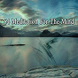 Album 54 Meditation for the Mind de Ambient Forest