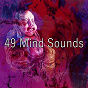 Album 49 Mind Sounds de Study Concentration