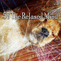 Album 57 The Relaxed Mind de Serenity Spa Music Relaxation