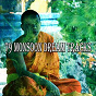 Album 79 Monsoon Dream Tracks de Massage Tribe
