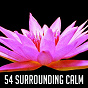 Album 54 Surrounding Calm de Massage