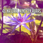 Album 48 Natural Mind Zen Auras de Yoga Sounds