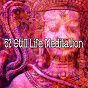 Album 52 Still Life Meditation de Zen Meditate