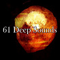Album 61 Deep Sounds de Japanese Relaxation & Meditation