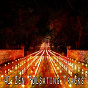 Album 41 Zen Pulsating Tracks de Meditation Zen Master