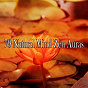 Album 79 Natural Mind Zen Auras de Japanese Relaxation & Meditation