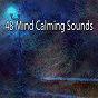 Album 48 Mind Calming Sounds de Meditation Awareness