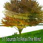 Album 51 Sounds to Relax the Mind de Massage Tribe