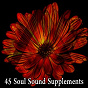 Album 45 Soul Sound Supplements de Yoga Workout Music