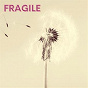 Album Fragile de Stardust At 432hz