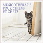 Album Musicothérapie pour chiens et chats de Lilac Storm / Daniel Moon / Tombi Bombai