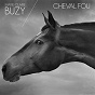 Album Cheval fou de Buzy