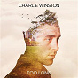 Album Too Long de Charlie Winston