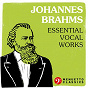 Compilation Johannes Brahms: Essential Vocal Works avec Rundfunk Jugendchor Wernigerode / Johannes Brahms / Morriston Orpheus Choir & Ivor E Sims / Amor Artis Chamber Choir & Johannes Somary / Regensburger Domspatzen & Roland Buchner...