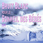 Album Bruit Blanc pour le Sommeil des Bébés de Torsten Abrolat, Syncsouls / Syncsouls