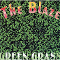 Album Green Grass de H Martin / The Blaze / D Arianti / E Milano / M Bonino...